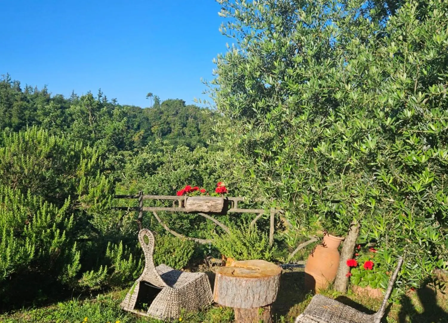 Guest house San Martino Country Villa B&B Barberino di Mugello