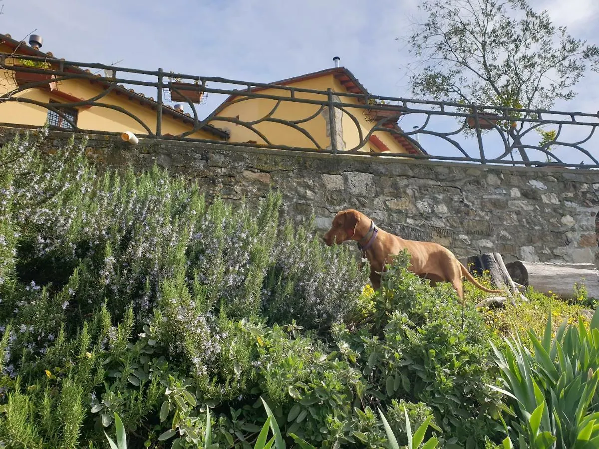 San Martino Country Villa B&B Barberino di Mugello Guest house