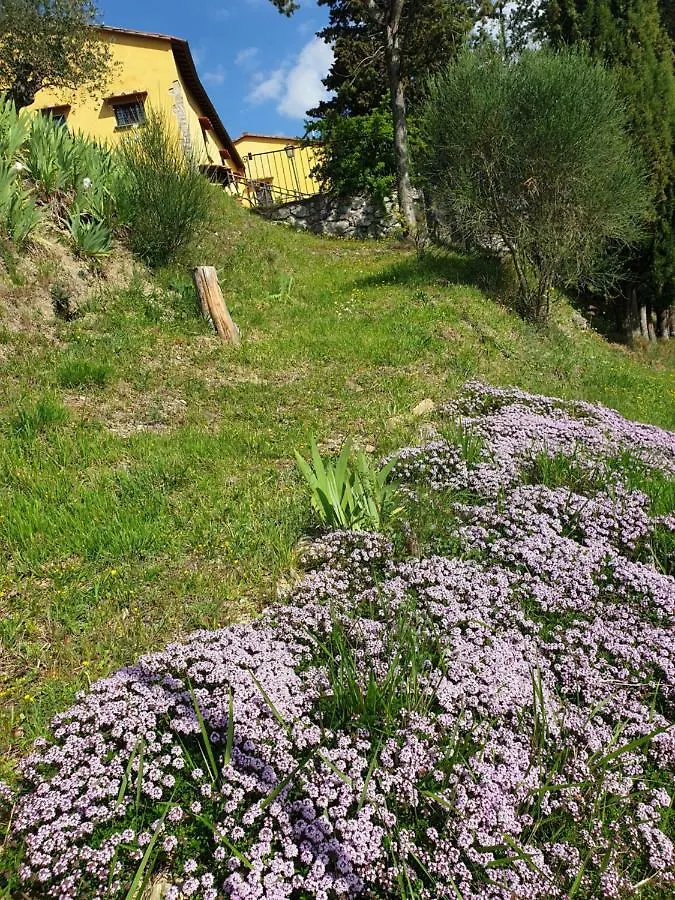 Guest house San Martino Country Villa B&B Barberino di Mugello Italy